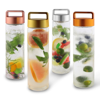 Bouteille d'eau détox réutilisable de 24 oz, bouteille d'eau infuseur de fruits, bouteille d'eau en verre avec infuseur de thé aux fruits