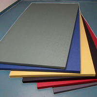 Tapis d'entraînement en PVC et mousse imperméable Fuji pour arts martiaux, MMA, judo, jiu-jitsu, lutte