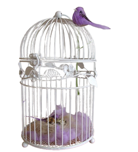กรงนกโลหะแบบทำมือสไตล์คลาสสิกกรงนกแบบโบราณสำหรับสวนแบบปรับแต่งได้ - Product Image 4
