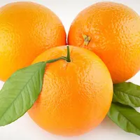 新鮮な柑橘類のマンダリンフルーツ、海軍オレンジ、レモン、バレンシアオレンジ、販売中