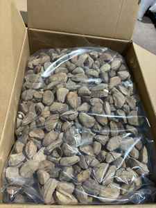 Noci del Brasile Premium: Fornitura all'Ingrosso di Noci del Brasile Naturali - Product Image 5