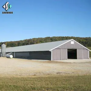 Ferme de volaille commerciale, à réduction, Commercial, terrain libre, poulet