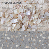 Flocons de nacre naturelle blanche en vrac de 3 à 5 mm pour terrazzo, revêtement de sol en résine liée, agrégat décoratif en coquillages