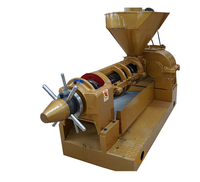 304 RVS voedselveilige koud-warm persen oliepersmachine voor pinda's, sojabonen en zaadolie, semi-automatisch, hoge productiviteit