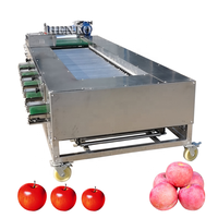 Hot Koop Tomaat Sorteren Machine/Elektronische Fruit Sorteermachine/Aardappel Grader Machine