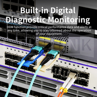Câble optique à fibre ETU-Link 100M 20M 30M 50M OM2 OM3 10G SFP+ vers SFP+ AOC Câble optique actif