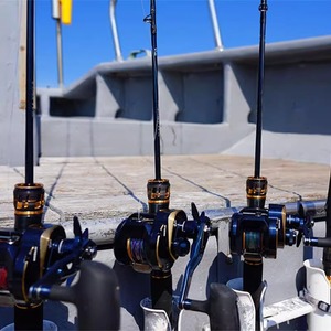 Caña de Pescar Daiwa Saltiga LJ EX Ligera para Jigging, Acción Media Rápida, Pesca en Mar y Embarcaciones, Color Negro 25 SALTIGA LJ EX - Product Image 2