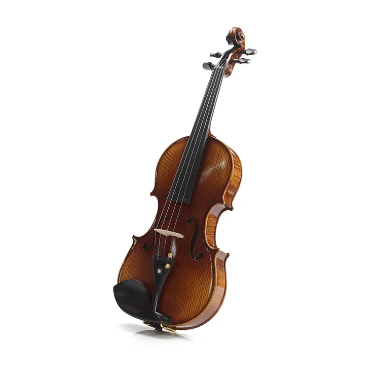 高品質のプロの手作りバイオリン (302C)