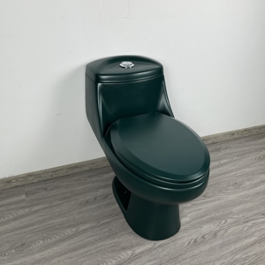 <span class=keywords><strong>Toilette</strong></span> siphonique monobloc à économie <span class=keywords><strong>d</strong></span>'<span class=keywords><strong>eau</strong></span> <span class=keywords><strong>vert</strong></span> foncé pour les maisons modernes et élégantes - Product Image 3