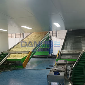 Machine de séchage à bande maillée pour radis, déshumidificateur de radis, ligne de nettoyage, découpe et séchage des radis - Product Image 2