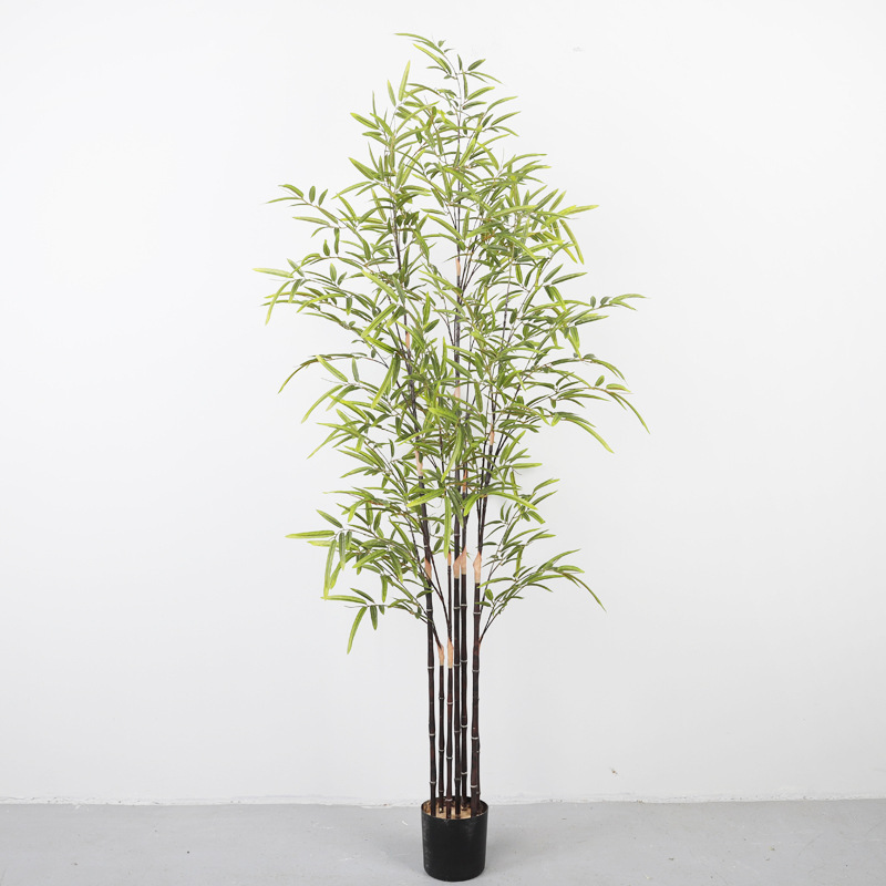 Bambou violet de 1,5 mètre (démonté)