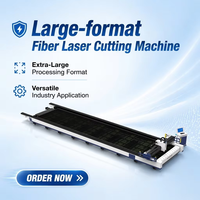 Découpeuse laser à fibre CNC 3 axes haute précision 6000W-30000W Cypcut Hiwin pour machine de découpe de plaques métalliques grand format