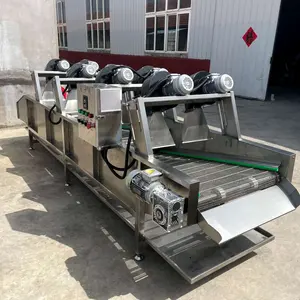 prune cleaning washing production line / dried prune / apricot / raisin washer sterilizer dryer machine