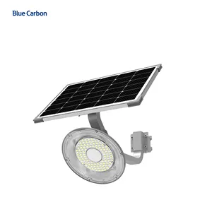 2024 새로운 정원 조명 태양열 전원 방수 IP65 가로등 핫 세일 도매 가격 크리 LED 블루 카본 태양 광