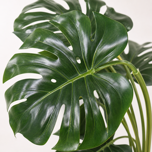Tallos de Hojas de Monstera Artificiales de Tacto Real, Vegetación Tropical <span class=keywords><strong>Artificial</strong></span> para Decoración de Bodas, Hogar, Hotel y Fiestas - Product Image 3