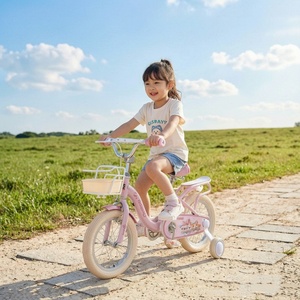 Bicicletta per Bambini con Telaio in Acciaio ad Alto Tenore di Carbonio, Cerchi in Alluminio, Ruote da Allenamento, Cestino e Portapacchi Posteriore - Product Image 1