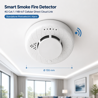 Détecteur de fumée sans fil 4G à piles, sans unité centrale, contrôle via application à distance pour la sécurité incendie des entrepôts de céréales et des serres