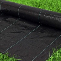 Ecologisch verantwoorde PP geweven onkruidmat, onkruidbestrijding, landschapsdoek, grondbedekking voor landbouw, tuin, boerderij, groenten- en fruitteelt
