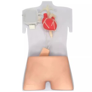 Simulador de Treinamento Médico ECMO para Treinamento de Punção de Artéria <span class=keywords><strong>Femoral</strong></span> e Veia Guiada por Ultrassom - Product Image 1