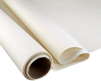 Nuevo y Popular: Rollo de Lienzo de Poliéster en Blanco para Práctica Artística, Triple Imprimado, Libre de Ácido, para Plotter