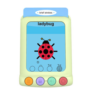 Juguete 2 en 1 con Tarjetas Interactivas de Aprendizaje y Pizarra de Dibujo para Niños en Edad Preescolar - Product Image 6