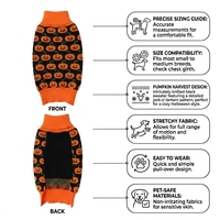 Halloween hondentrui zwart oranje pompoen Jack O'Lantern huisdier trui turtleneck gebreide warme kleine honden- en kattenkleding herfst kleding OEM