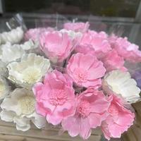 Großhandel für Hochzeitswanddekoration: Natürliche, langlebige, konservierte Sola-Lilie für Heimdekoration, Muttertag und Weihnachten