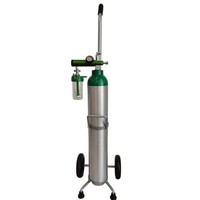Mini Cilindro de Oxígeno Médico de Aluminio de 1L y 6 Tamaños con Regulador de Oxígeno/Flujómetro/Humidificador/Bolsa/Cánula Nasal/Máscara de Oxígeno