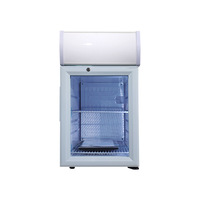 Congélateur 25L Terrasse Refroidisseur de Boissons Dropshipping Mini Réfrigérateur Fournisseur Réfrigérateur de Boissons
