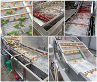 Nouvelle machine à laver automatique à bulles de légumes et de fruits de qualité alimentaire avec pompe comprenant une ligne de nettoyage et de séchage