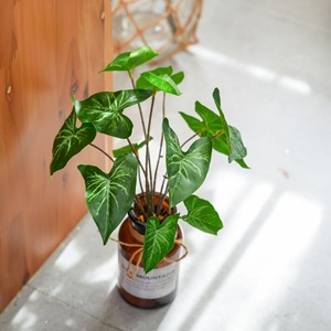 Plante Artificielle CallaFloral Syngonium à 12 Têtes en PVC, Décoration de Mariage, Fournitures Artisanales, Décoration Intérieure Écologique - Product Image 2