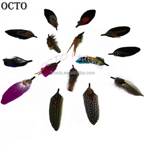 Plumas Decorativas para Sombreros <span class=keywords><strong>de</strong></span> Hombre, Diseño Personalizado, Varios Tamaños <span class=keywords><strong>de</strong></span> 3-5 Pulgadas, Gran <span class=keywords><strong>Venta</strong></span> - Product Image 1