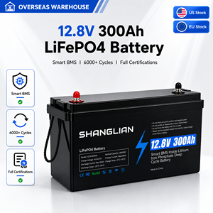 <span class=keywords><strong>Batterie</strong></span> au lithium LiFePO4 12,8 V 300 Ah à décharge profonde <span class=keywords><strong>pour</strong></span> camping-car, remplacement de <span class=keywords><strong>batterie</strong></span> au plomb-acide <span class=keywords><strong>pour</strong></span> système d'alimentation solaire <span class=keywords><strong>auxiliaire</strong></span> domestique - Product Image 1