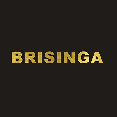 Guangzhou Brisinga Export Co., Ltd. logo