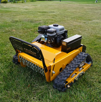 Mesin Pemotong Rumput Diesel Mini Remote Control Bertenaga Tinggi 4-Tak untuk Penggunaan Pertanian dan Kebun