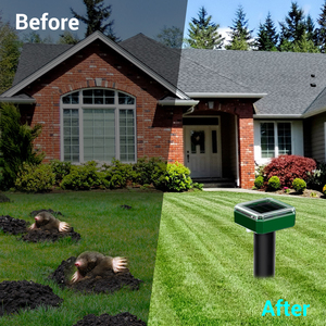 X-pest EU/USA Cổ Phiếu mới đến năng lượng mặt trời <span class=keywords><strong>mole</strong></span> Repeller năng lượng mặt trời Powered rodent Repellent Stakes siêu âm sóng âm Thiết kế động vật - Product Image 4