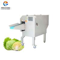 FTS-170 Industriële Lente Ui Lente-Ui Lente-Ui Augurk Salade Snijmachine Peterselie Prei Groene Snijmachine