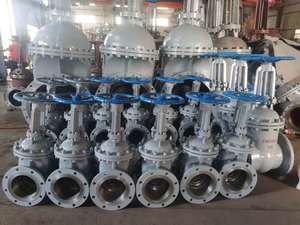 Vanne à opercule en acier inoxydable à étanchéité rigide pour pipeline pétrolier et gazier, Marine DIN DN250 100mm PN16 - Prix - Product Image 1