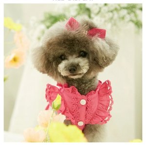 2025 Pet Verão Renda Princesa Saia Dog Cat Roupas Finas + Headwear - Product Image 5