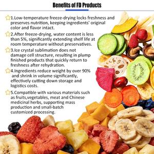 مجفف بالتجميد عالي الكفاءة، جهاز تجفيف بالتبريد من الفولاذ المقاوم للصدأ لحفظ المأكولات البحرية واللحوم - Product Image 3