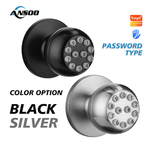 图雅Tlock数字智能旋钮门锁应用远程电子旋钮-用于钢玻璃门存储卡指纹密码访问 - Product Image 2