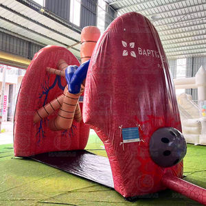 Riesige Lungenkrebs bewusstsein Schlauchboote Modell Lunge Aufblasbare Ausstellung Event Gesundheits messen-Herz Gehirn Colon Nieren Leber Brust - Product Image 5