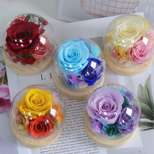 Cadeaux en gros que les jeunes adorent : Rose véritable préservée sous cloche en verre avec base en bois pour la décoration intérieure - Product Image 3