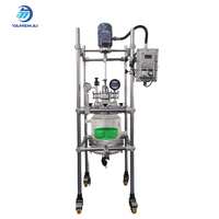 Reactor de fase sólida personalizado Yangmai YMGX-5EX, nuevo modelo de 5L, reactor de vidrio con circulador de calentamiento y enfriamiento, motor de alta precisión