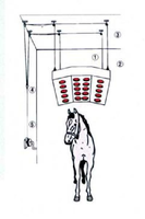 Solarium pour chevaux à 3 ou 4 rangées, chauffage pour bain de chevaux