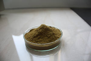 Vente chaude suppléments de santé poudre d'extrait de feuille d'olivier oleuropéine 20% - Product Image 6