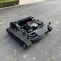 Promotion CE EPA Robot Tondeuse à chenilles télécommandé sans fil à essence pour l'agriculture et le jardinage tout-terrain