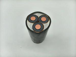 XHIE <span class=keywords><strong>3</strong></span>.6/6kV 7.2kV N2XSEY <span class=keywords><strong>3</strong></span> Core 25-300mm2 MV kabel daya YJV YJSV CU XLPE CTS PVC tanpa armour IEC 60502-<span class=keywords><strong>2</strong></span> kabel EES - Product Image 2