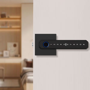 אבטחה הביתה <span class=keywords><strong>wifi</strong></span> tuya אפליקציה מנעול דלת זכוכית חכם עם כרטיס סיסמא מפתח פתיחת מערכת הבית - Product Image 3