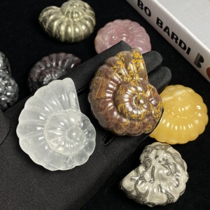 Vente en gros de sculptures en pierres précieuses mélangées, ammonites fossiles en cristal naturel, pour la décoration intérieure - Product Image 6